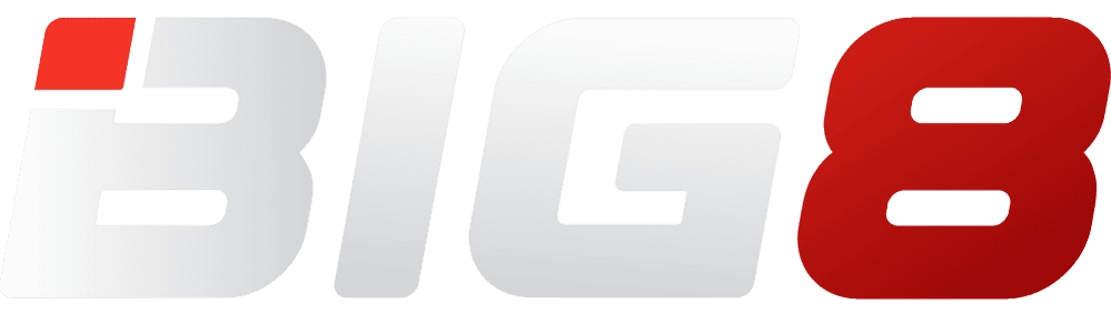 logo BIG8